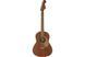 FENDER SONORAN MINI MAHOGANY WN Гитара электроакустическая FE-0570 фото 1
