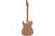 FENDER AMERICAN PRO II TELECASTER RST MN SHORELINE GOLD Електрогітара FE-0214 фото 2