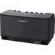 Комбоусилитель для электрогитары Roland Cube Lite Black RO-0291 фото 2