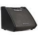 Персональний монітор Roland PM200 RO-2486 фото 10