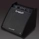 Персональний монітор Roland PM200 RO-2486 фото 9