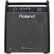 Персональний монітор Roland PM200 RO-2486 фото 1