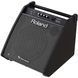 Персональний монітор Roland PM200 RO-2486 фото 2