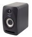 Студийный монитор Tannoy Reveal 402 TA-0106 фото 2