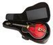 RockBag RB 20629 B/PLUS Jazz Guitar / Framus AZ 10 Gig Bag RB-0176 фото 5