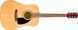 Гітарний набір FENDER FA-115 DREADNOUGHT PACK NATURAL WN V2 FE-0068 фото 5