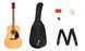 Гитарный набор FENDER FA-115 DREADNOUGHT PACK NATURAL WN V2 FE-0068 фото