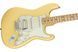 FENDER PLAYER STRATOCASTER HSS MN BCR Електрогітара FE-0516 фото 3