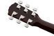 Гітарний набір FENDER FA-115 DREADNOUGHT PACK NATURAL WN V2 FE-0068 фото 8