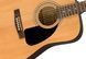 Гітарний набір FENDER FA-115 DREADNOUGHT PACK NATURAL WN V2 FE-0068 фото 7
