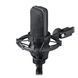 Студийный микрофон Audio-Technica AT4033A AT-0182 фото 1