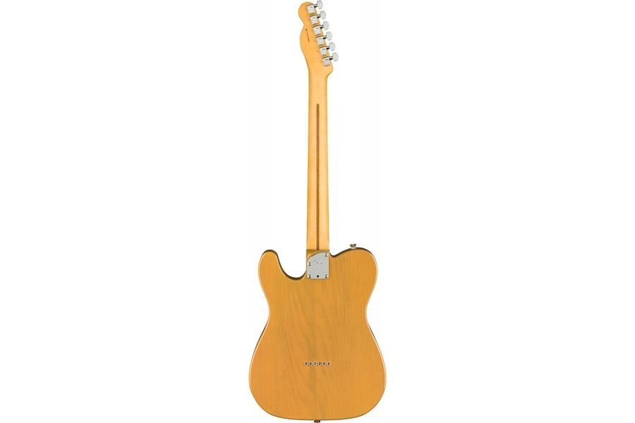 FENDER AMERICAN PRO II TELECASTER MN BUTTERSCOTCH BLONDE Электрогитара FE-0211 фото