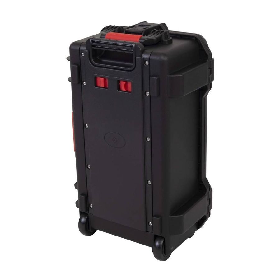 Кейс Proel PPCASE12W PR-6504 фото
