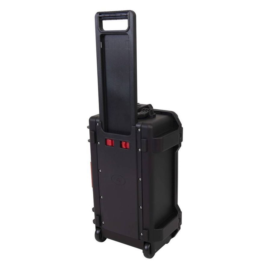 Кейс Proel PPCASE12W PR-6504 фото