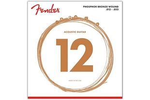 Струны для акустических гитар Fender 60L FE-0023 фото