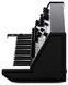 KORG MS-20 MINI Синтезатор KO-0078 фото 3