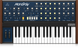 Синтезатор Behringer MONOPOLY BE-0950 фото 2