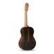 Классическая гитара Alhambra Iberia Ziricote BAG 4/4 AL-0113 фото 2