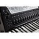 Цифровой аккордеон Roland FR8X BK V-Accordion RO-0594 фото 6