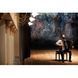 Цифровой аккордеон Roland FR8X BK V-Accordion RO-0594 фото 10