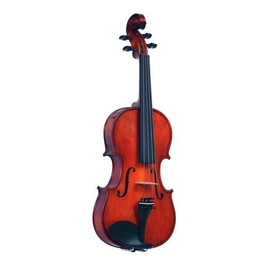 Скрипка ученическая GLIGA Violin 4/4 Genial II GL-0245 фото