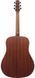 IBANEZ AAD50-LG Гітара акустична IB-0042 фото