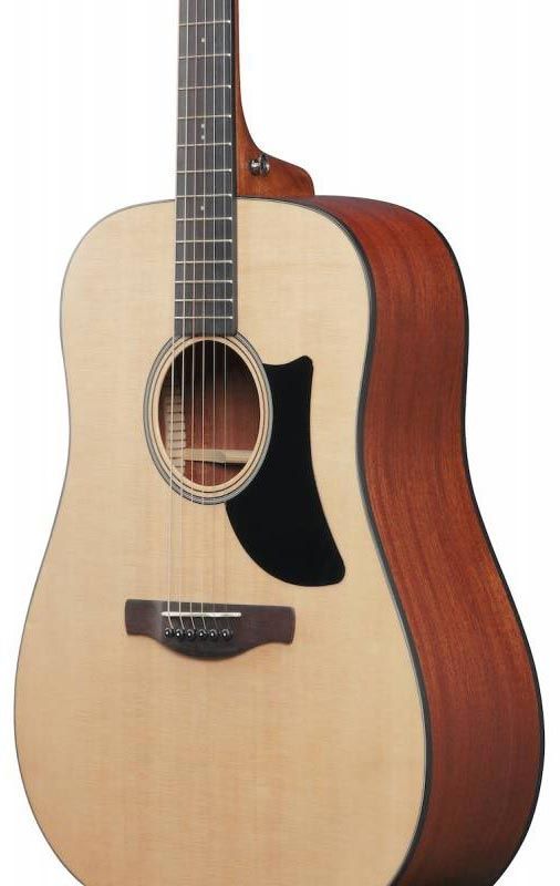 IBANEZ AAD50-LG Гітара акустична IB-0042 фото