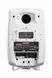 Акустическая система Genelec 8341AW GE-0457 фото 2