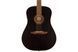 FENDER REDONDO SPECIAL OPEN PORE BLACK TOP LTD Гітара електроакустична FE-0561 фото 3