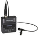 Диктофон Tascam DR-10L TA-0373 фото 1