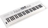 Синтезатор Roland GO:KEYS-5-WH білий RO-2968 фото