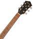 IBANEZ V50NJP NT Гітарний набір IB-0023 фото