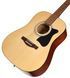 IBANEZ V50NJP NT Гитарный набор IB-0023 фото 2