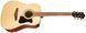 IBANEZ V50NJP NT Гитарный набор IB-0023 фото 4