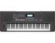 Синтезатор Roland E-X50 RO-2881 фото 5