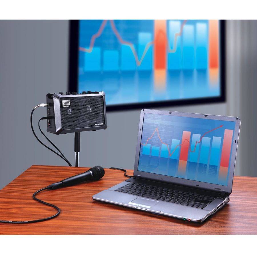 Комбоусилитель Roland Mobile Cube RO-1058 фото