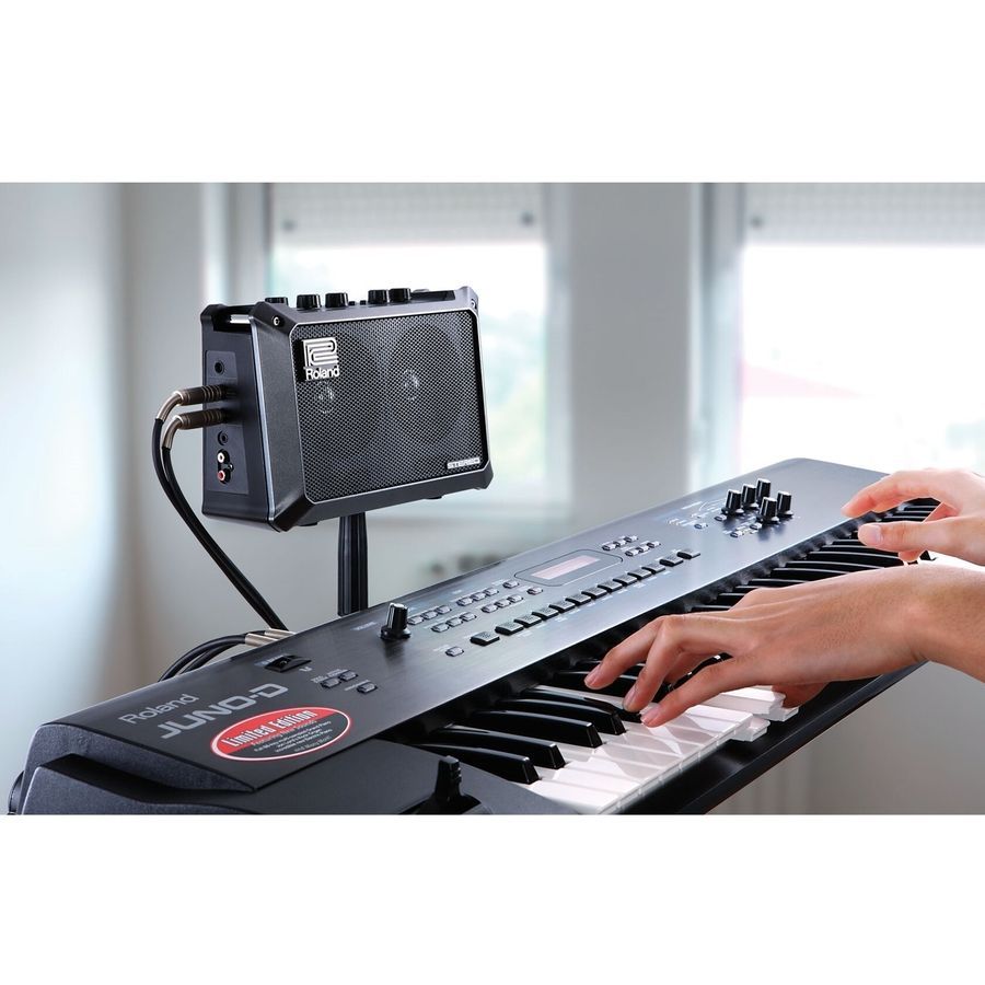 Комбоусилитель Roland Mobile Cube RO-1058 фото