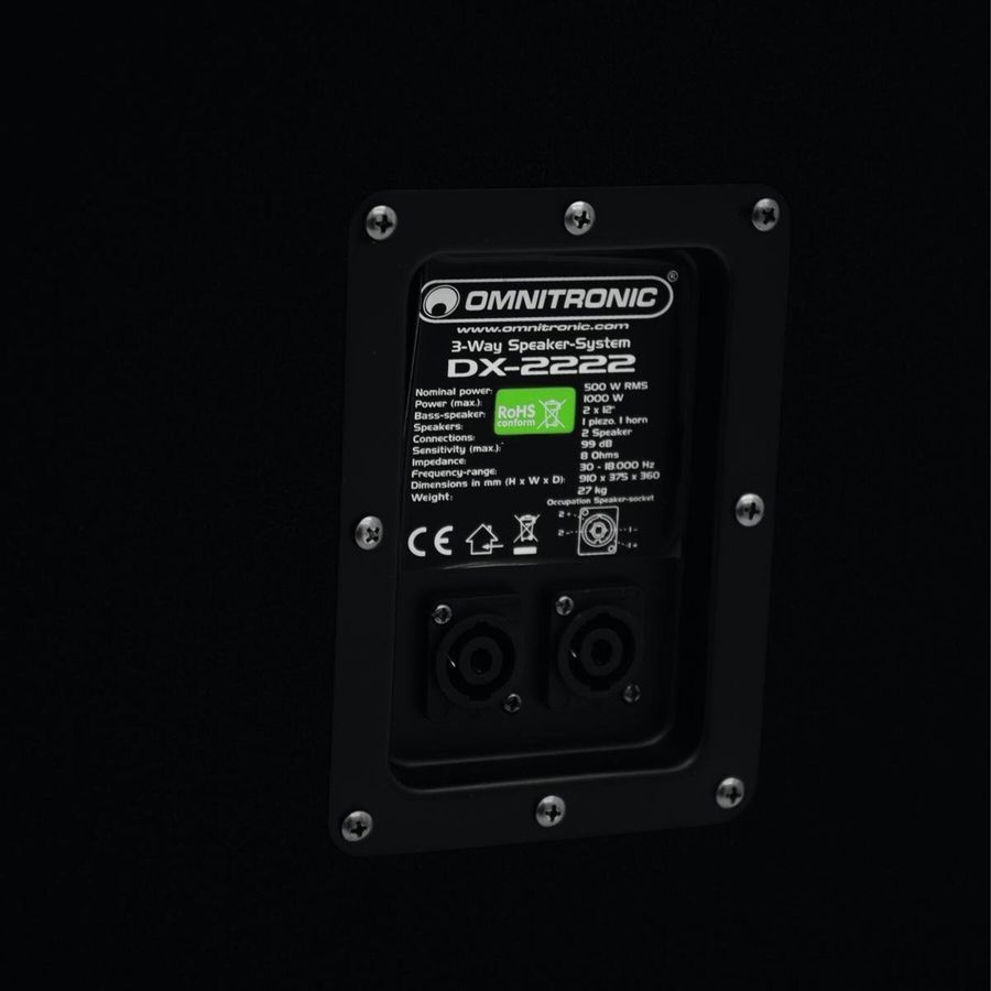 Пассивная акустическая система Omnitronic DX-2222 OM-0022 фото