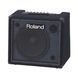 Клавішний комбопідсилювач Roland KC200 RO-2332 фото 2