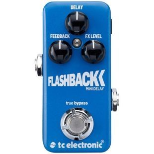 Педаль эффектов TC Electronic Flashback Mini Delay TE-0013 фото