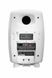 Акустическая система Genelec 8351AW GE-0462 фото 2