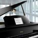 Цифровой рояль Roland GP609-PW RO-2637 фото 10