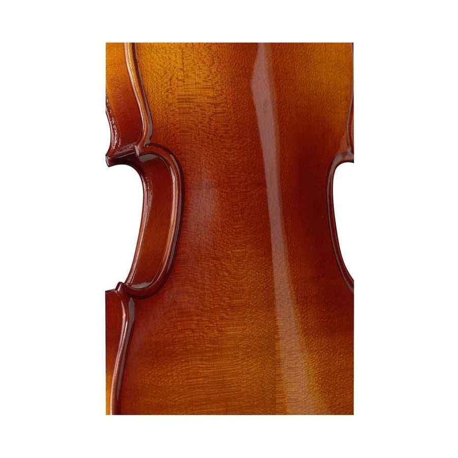 Скрипка 4/4 Stagg VL-4/4 ST-0499 фото