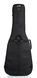 Gator G-PG-ACOUELECT GC-0334 фото 10