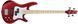 IBANEZ SRMD200 CAM Бас-гітара IB-0253 фото 2