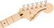 SQUIER by FENDER AFFINITY SERIES STRAT PACK HSS LAKE PLACID BLUE Гітарний набір SQ-0073 фото 5