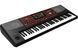 KORG PA700 Аранжувальна станція KO-0087 фото 1