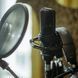Студійний мікрофон Audio-Technica AT4050 AT-0189 фото 6