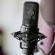 Студійний мікрофон Audio-Technica AT4050 AT-0189 фото 5