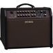 Усилитель для акустической гитары&nbsp;Boss Acoustic Singer Pro ACS-PRO BO-0203 фото 3